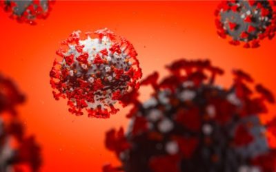 eCommerce in the coronavirus era