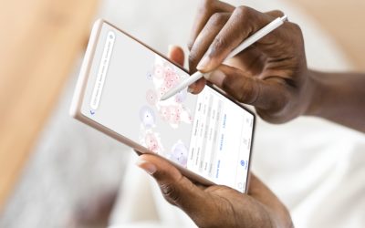 The publishing process for the App Store